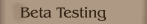 Beta Testing