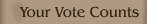 Your Vote Counts